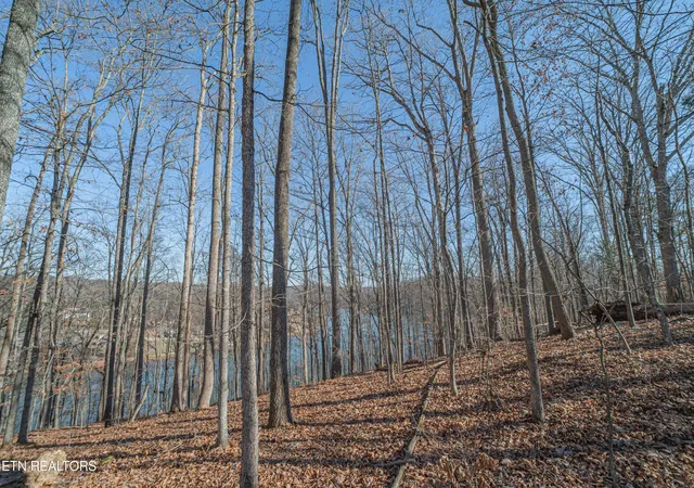 4th image of Sheerwater Rd, Kingston, TN 37763 | MLS# 1324326