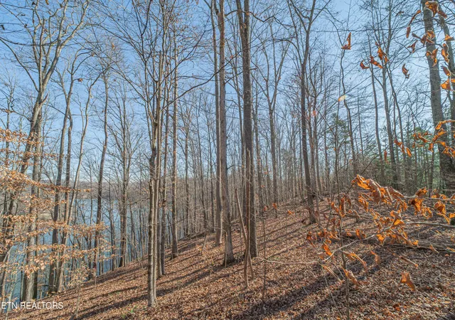 5th image of Sheerwater Rd, Kingston, TN 37763 | MLS# 1324326