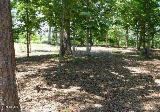 Homes for sale in Rockwood, TN | Star Ln, Rockwood, TN 37854 | MLS# 1324367
