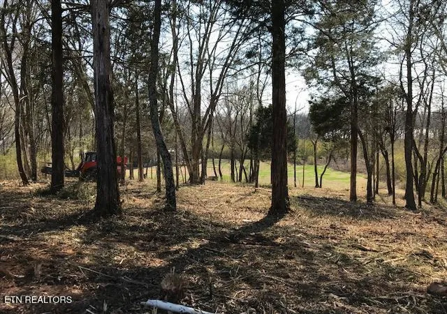 Homes for sale in Rockwood, TN | Star Ln, Rockwood, TN 37854 | MLS# 1324367