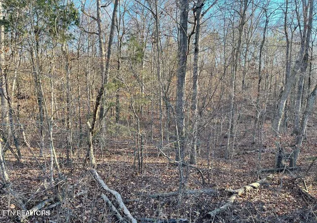 Photo 4 of Sale Pending at 0 Governor John Sevier Hwy, Knoxville, TN 37920 | MLS# 1324599 | Listing updated on 2026-08-17