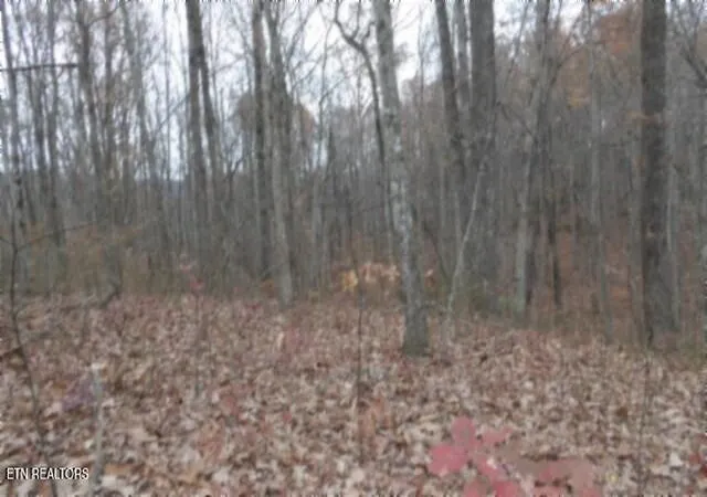1st image of Lot 23 Cumberland Cove Rd, Monterey, TN 38574 | MLS# 1324518