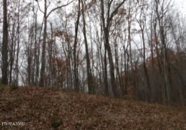 2nd image of Lot 23 Cumberland Cove Rd, Monterey, TN 38574 | MLS# 1324518