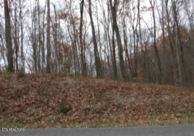 3rd image of Lot 23 Cumberland Cove Rd, Monterey, TN 38574 | MLS# 1324518