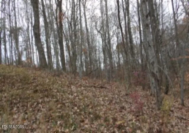4th image of Lot 23 Cumberland Cove Rd, Monterey, TN 38574 | MLS# 1324518