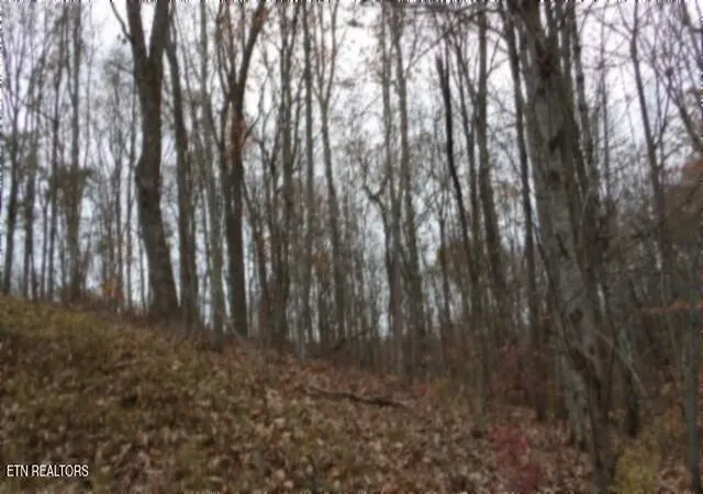5th image of Lot 23 Cumberland Cove Rd, Monterey, TN 38574 | MLS# 1324518