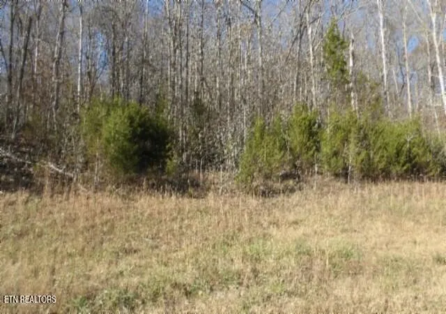 Photo 1 of Land for sale at Lot 46 Cheyenne Dr, Jamestown, TN 38556 | MLS# 1324520 | Listing updated on 2025-12-18