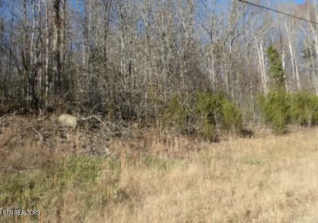 Photo 2 of Land for sale at Lot 46 Cheyenne Dr, Jamestown, TN 38556 | MLS# 1324520 | Listing updated on 2025-12-18