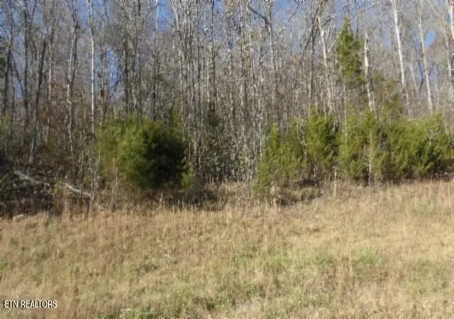 Photo 4 of Land for sale at Lot 46 Cheyenne Dr, Jamestown, TN 38556 | MLS# 1324520 | Listing updated on 2025-12-18