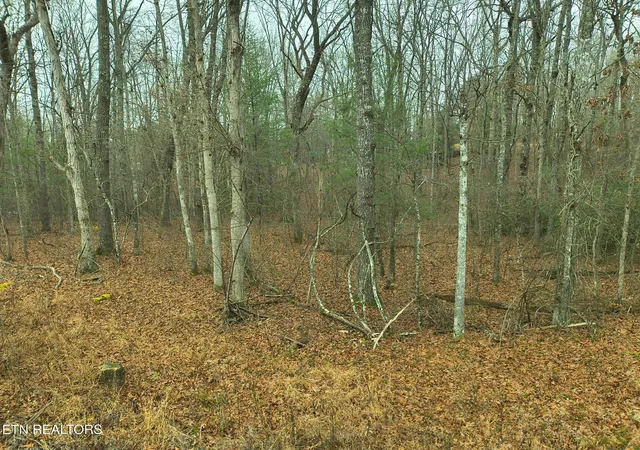 Photo 1 of Sale Pending at 526 & 528 Tsala Dr, Crossville, TN 38572 | MLS# 1325053 | Listing updated on 2026-09-18