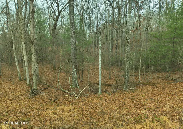 Photo 3 of Sale Pending at 526 & 528 Tsala Dr, Crossville, TN 38572 | MLS# 1325053 | Listing updated on 2026-09-18