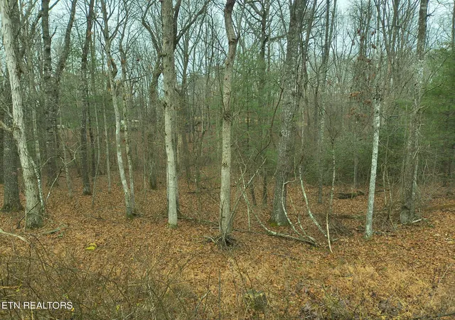 Photo 4 of Sale Pending at 526 & 528 Tsala Dr, Crossville, TN 38572 | MLS# 1325053 | Listing updated on 2026-09-18