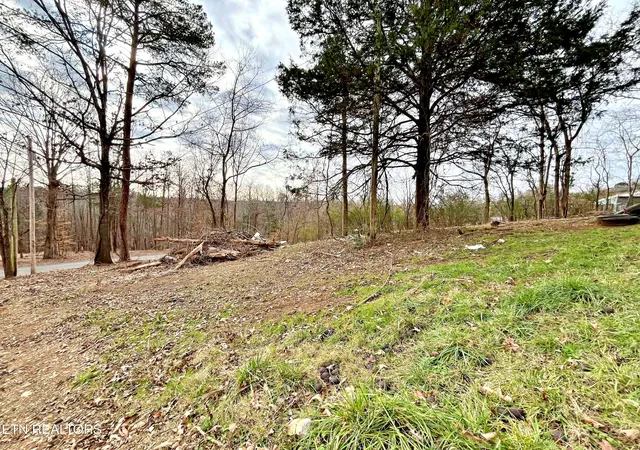 Photo 3 of Land for sale at 110 Pinecrest Dr, Loudon, TN 37774 | MLS# 1324833 | Listing updated on 2026-10-05