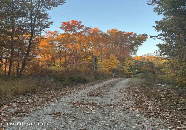 1st image of 2742 Ac Black Mountain Road Rd, Tellico Plains, TN 37385 | MLS# 1326056