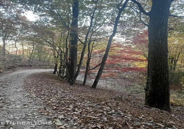 2nd image of 2742 Ac Black Mountain Road Rd, Tellico Plains, TN 37385 | MLS# 1326056