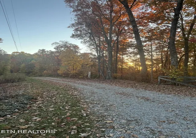 3rd image of 2742 Ac Black Mountain Road Rd, Tellico Plains, TN 37385 | MLS# 1326056