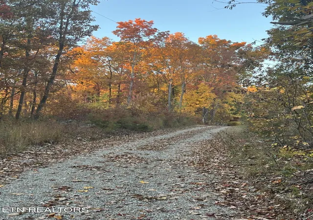4th image of 2742 Ac Black Mountain Road Rd, Tellico Plains, TN 37385 | MLS# 1326056