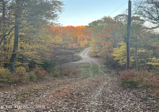 5th image of 2742 Ac Black Mountain Road Rd, Tellico Plains, TN 37385 | MLS# 1326056