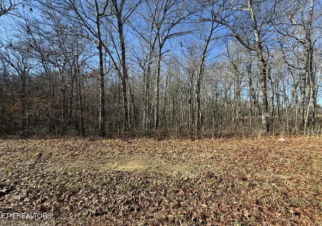 Homes for sale in Jamestown, TN | Georgee Rd, Jamestown, TN 38556 | MLS# 1325117