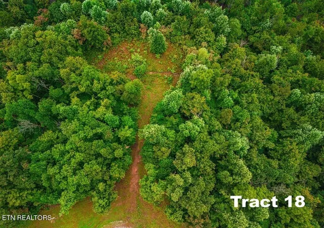 Homes for sale in Crawford, TN | 0 Bear Knob Ln, Crawford, TN 38554 | MLS# 1325261