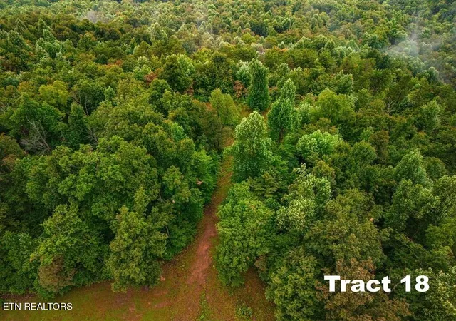 Homes for sale in Crawford, TN | 0 Bear Knob Ln, Crawford, TN 38554 | MLS# 1325261