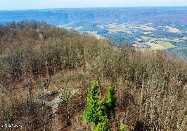 3rd image of 654 Briley Rd, Spring City, TN 37381 | MLS# 1325475
