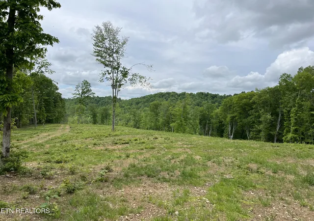 1st image of 123 Ingle Ln, Tazewell, TN 37879 | MLS# 1325872
