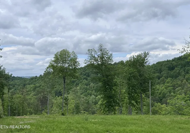 3rd image of 123 Ingle Ln, Tazewell, TN 37879 | MLS# 1325872