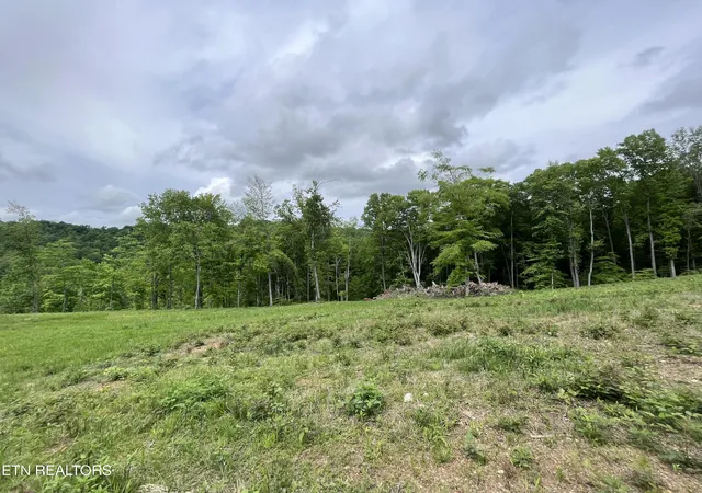 5th image of 123 Ingle Ln, Tazewell, TN 37879 | MLS# 1325872