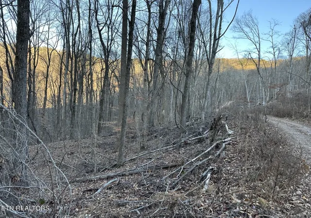 1st image of 00 Stone Ridge Road, Pikeville, TN 37367 | MLS# 1326169