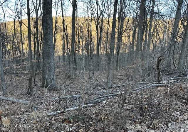 2nd image of 00 Stone Ridge Road, Pikeville, TN 37367 | MLS# 1326169