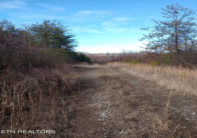 Photo 3 of Land for sale at Allen Burgess Rd, Crossville, TN 38572 | MLS# 1325585 | Listing updated on 2026-07-28