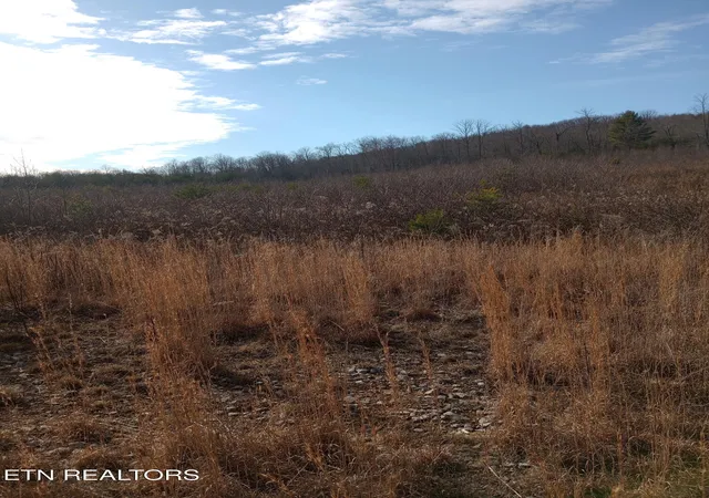 Photo 4 of Land for sale at Allen Burgess Rd, Crossville, TN 38572 | MLS# 1325585 | Listing updated on 2026-07-28