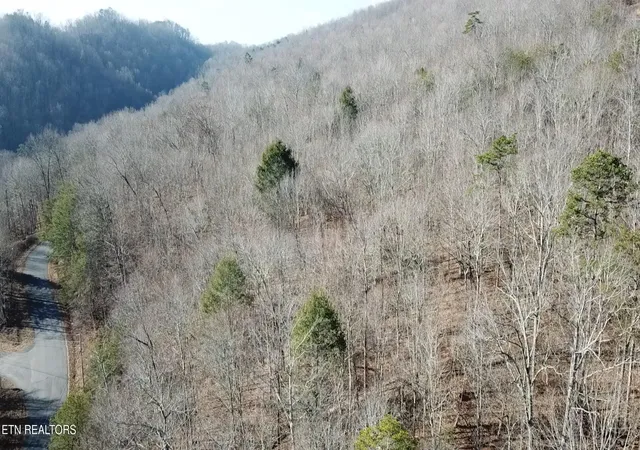 Photo 2 of Land for sale at Lot 142 Whistle Valley Rd, New Tazewell, TN 37825 | MLS# 1325891 | Listing updated on 2026-01-09