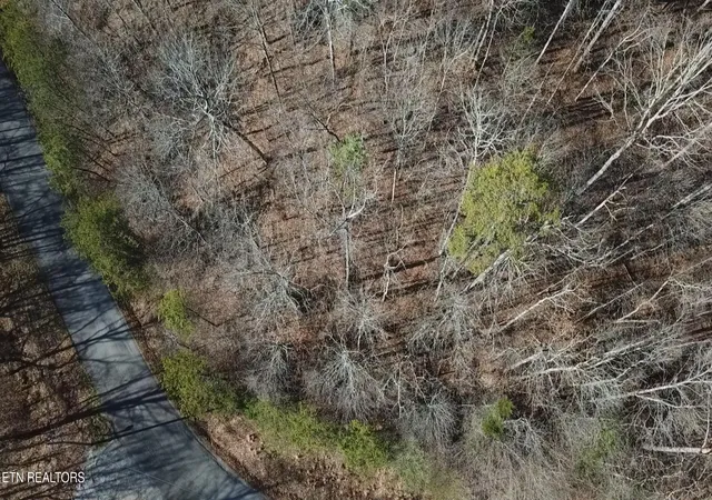 Photo 3 of Land for sale at Lot 142 Whistle Valley Rd, New Tazewell, TN 37825 | MLS# 1325891 | Listing updated on 2026-01-09