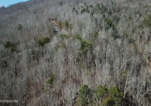 Photo 3 of Land for sale at Lot 142 Whistle Valley Rd, New Tazewell, TN 37825 | MLS# 1325891 | Listing updated on 2026-01-09