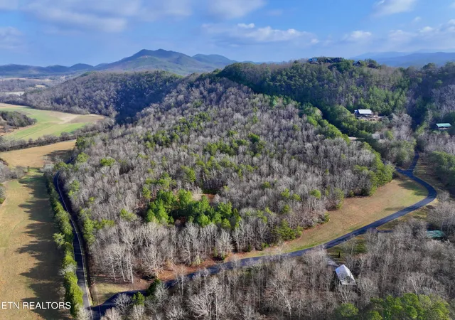 Photo 3 of Land for sale at Forest View, Tellico Plains, TN 37385 | MLS# 1325917 | Listing updated on 2026-06-30