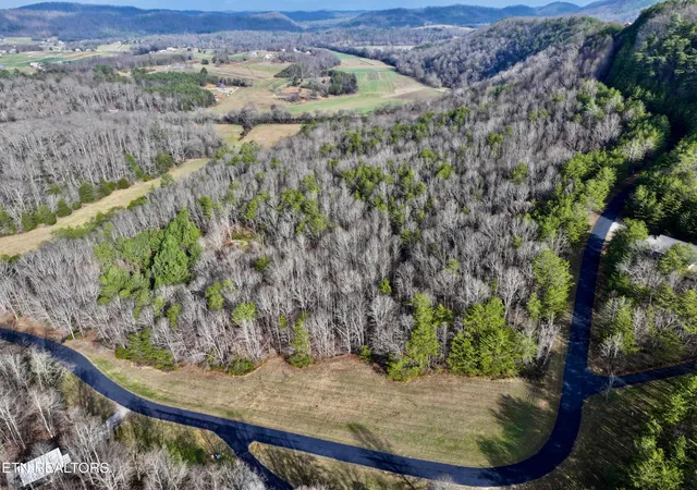 Photo 4 of Land for sale at Forest View, Tellico Plains, TN 37385 | MLS# 1325917 | Listing updated on 2026-06-30
