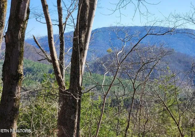 Photo 1 of Land for sale at Hwy 39e, Englewood, TN 37329 | MLS# 1325846 | Listing updated on 2026-04-06