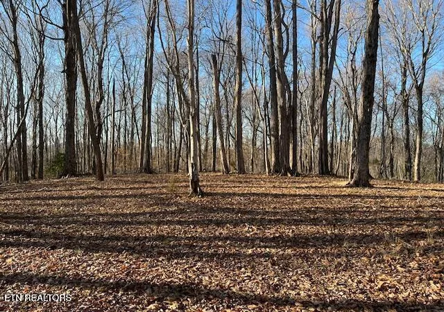 Photo 4 of Land for sale at Hwy 39e, Englewood, TN 37329 | MLS# 1325846 | Listing updated on 2026-04-06