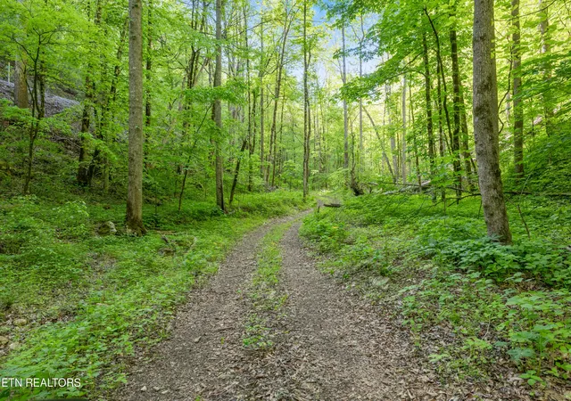 1st image of Bunch Hollow Rd, New Tazewell, TN 37825 | MLS# 1330426