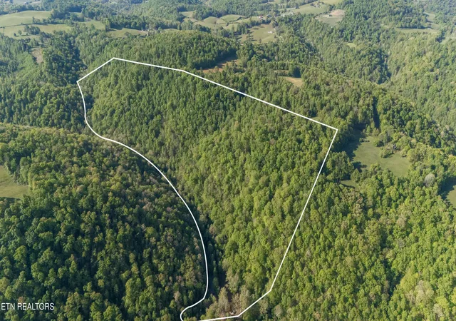 2nd image of Bunch Hollow Rd, New Tazewell, TN 37825 | MLS# 1330426