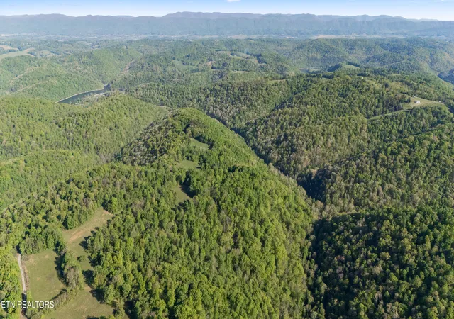 Photo 3 of Land for sale at Bunch Holw Rd, New Tazewell, TN 37825 | MLS# 1330426 | Listing updated on 2026-06-14