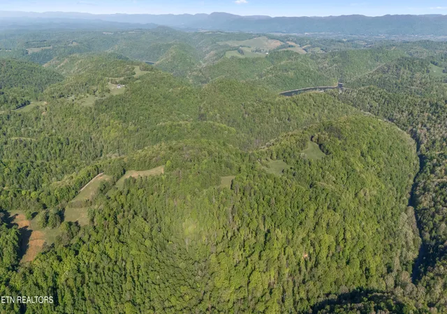 Photo 3 of Land for sale at Bunch Holw Rd, New Tazewell, TN 37825 | MLS# 1330426 | Listing updated on 2026-06-14
