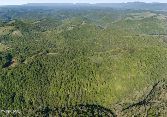 Photo 4 of Land for sale at Bunch Holw Rd, New Tazewell, TN 37825 | MLS# 1330426 | Listing updated on 2026-06-14