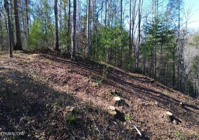 Photo 3 of Land for sale at Lot# 6 & 7 Journeys End & 119 Taylors Rg Rd, Walland, TN 37886 | MLS# 1326699 | Listing updated on 2026-08-20