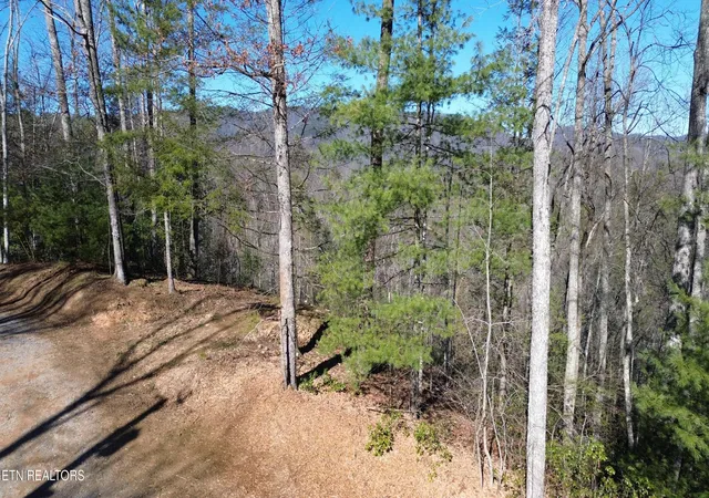 Photo 3 of Land for sale at Lot# 6 & 7 Journeys End & 119 Taylors Rg Rd, Walland, TN 37886 | MLS# 1326699 | Listing updated on 2026-08-20