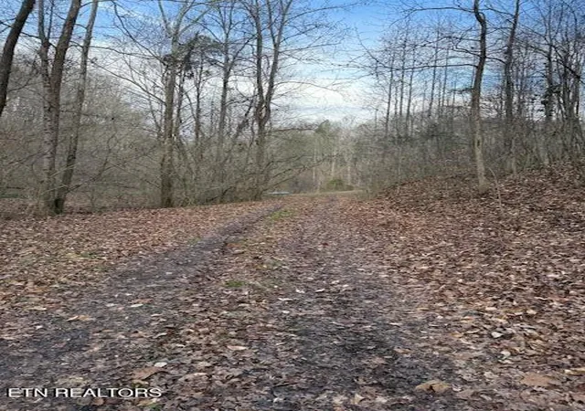21st image of 971 Scenic River Rd, Madisonville, TN 37354 | MLS# 1326559