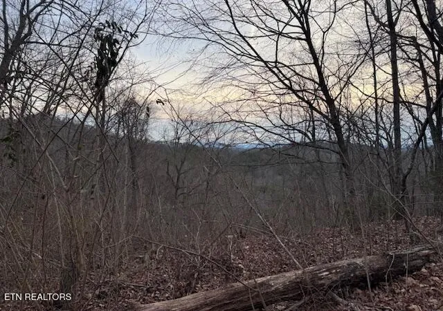 3rd image of 971 Scenic River Rd, Madisonville, TN 37354 | MLS# 1326559