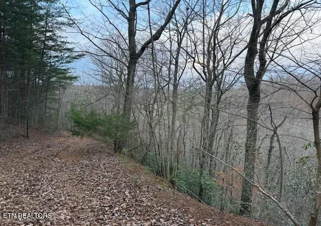 4th image of 971 Scenic River Rd, Madisonville, TN 37354 | MLS# 1326559